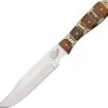 Fox N Hound Skinner Wood Stag Fixed Blade Knife 622