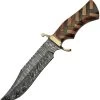Damascus 12" Checkered Wood Brass Guard Bowie Knife + Leather Sheath 1221 1 Damascus 12" Checkered Wood Brass Guard Bowie Knife + Leather Sheath 1221 -Knives = the best. DM1221
