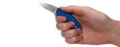 Kershaw Chive Linerlock A/O Assisted Open Blue Foldng Knife 1600nbsw -Knives = the best. chive 1